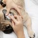 Eye Envy Fresh Ear Cleaning Wipes Серветки Eye Envy для очищення вух, 60шт