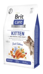 Brit Care Cat GF Kitten Gentle Digestion Strong Immunity - Сухий корм для кошенят з лососем, 7 кг