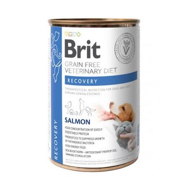 Brit Grain-Free VetDiets Recovery - Корм влажный с лососем для собак и кошек при выздоровлении и восстановлении после операции, 400 г