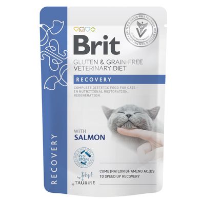 Brit Grain-Free VetDiets Recovery with Salmon - Беззерновий вологий корм з лососем для дорослих котів для відновлення харчування та регенерації