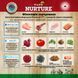 Pure Nurture Grain Free Сухой беззерновой корм с лососем и горошком для кошек для всех этапов жизни, 1,5 кг