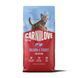 Carnilove Active Salmon & Turkey Kitten Сухой корм с лососем и индейкой для котят, 6 кг