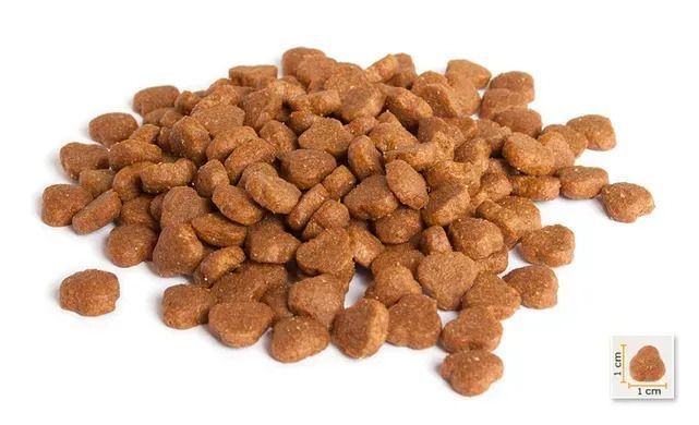 BonaCibo Adult Cat Lamb & Rice Сухой корм с мясом ягненка и рисом для взрослых кошек, 15 кг