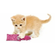 Kong KicKeroo Kitten Конг игрушка для котят