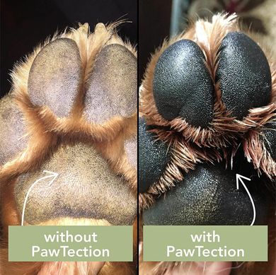 Natural Dog Company Paw Tection Бальзам для защиты лап