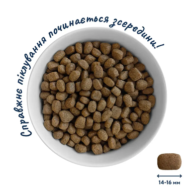 Home Food Dog Adult Medium/Maxi For Active And Young Dogs - Сухий корм з ягням та рисом для активних дорослих собак і юніорів середніх і великих порід, 10 кг