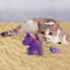 Kong Enchanted Buzzy Unicorn Іграшка єдиноріг для котів