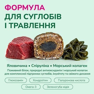 LK Baits Pet Nutrigel Beef S-M Функціональні ласощі з яловичиною і спіруліною (&Oslash; 15 мм) для суглобів собак, 150 г